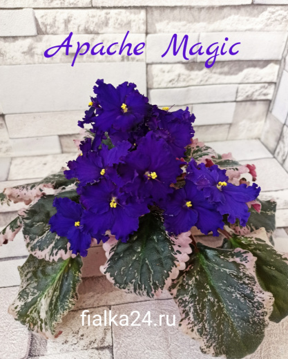 Apache Magic (J.Munk)