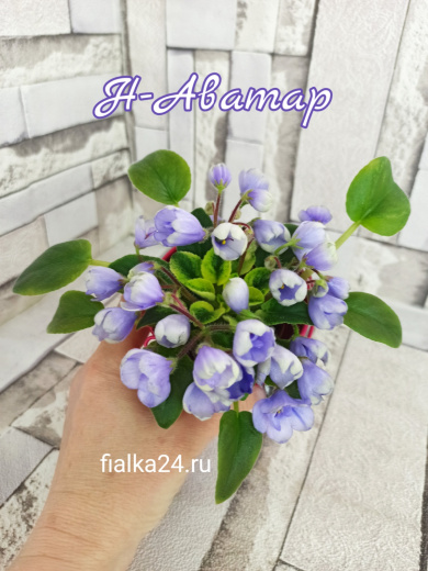 Н-Аватар