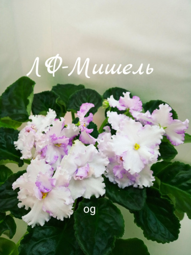 ЛФ-Мишель