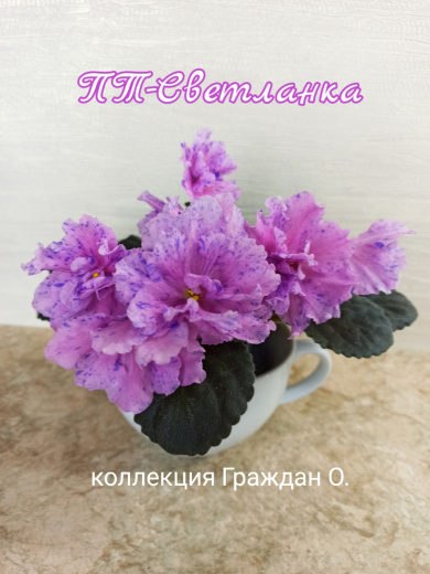 ПТ-Светланка
