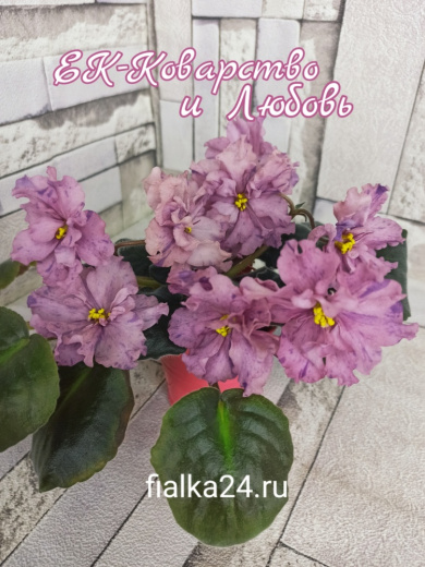 ЕК-Коварство и Любовь