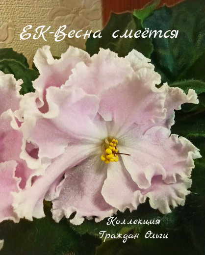 ЕК-Весна смеется