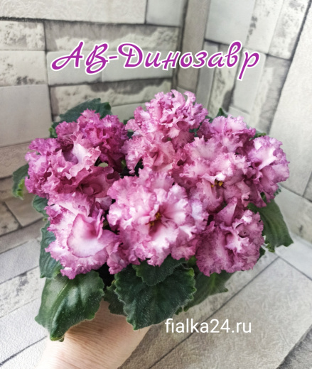 АВ-Динозавр
