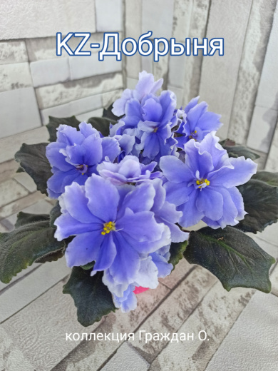 KZ-Добрыня