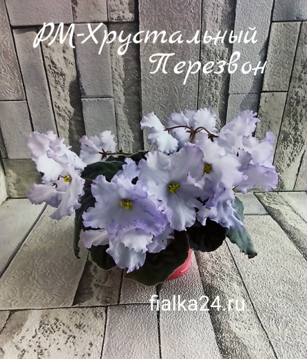 РМ-Хрустальный Перезвон