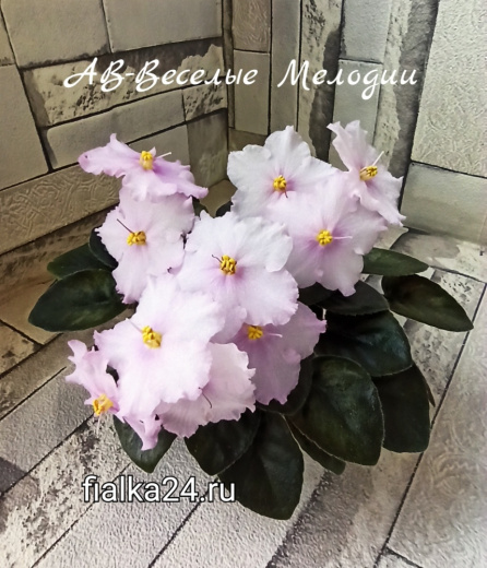 АВ-Веселые Мелодии
