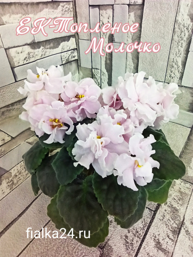 ЕК-Топленое молочко 