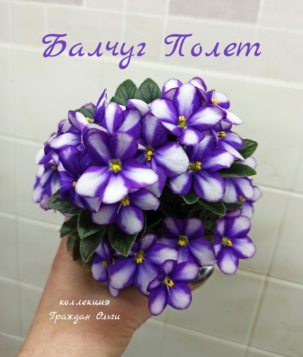 Балчуг Полет (И.Милехин)
