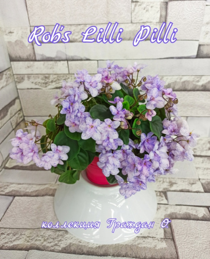 Rob's Lilli Pilli (Robinson)