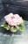 Rose Bouquet (Addison)