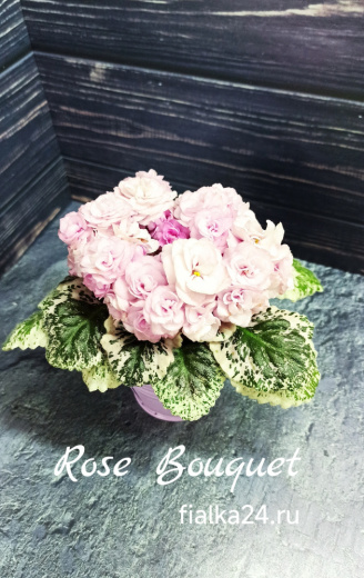 Rose Bouquet (Addison)