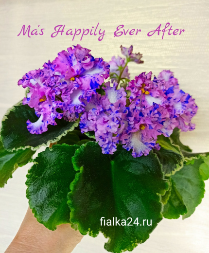 Ma's Happily Ever After (Robinson)