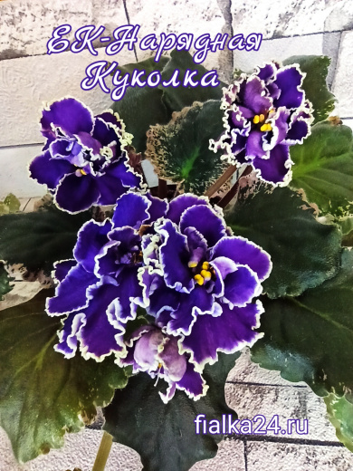 ЕК-Нарядная Куколка