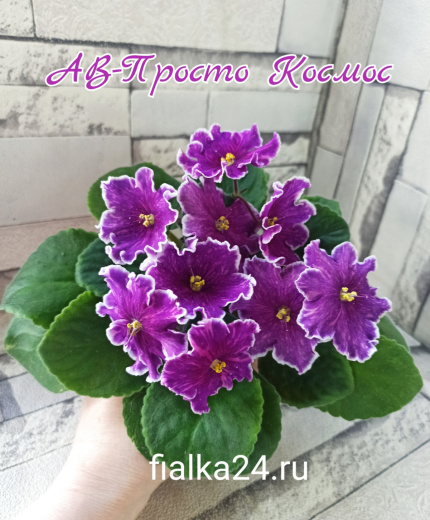 АВ-Просто Космос