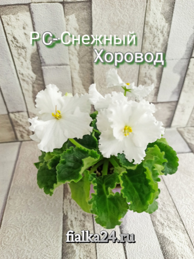 РС-Снежный Хоровод